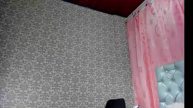 any_rox webcam