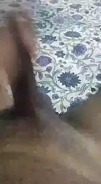 desi_pb02 webcam