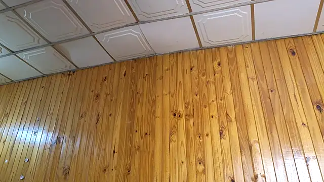 Jony_Marta webcam