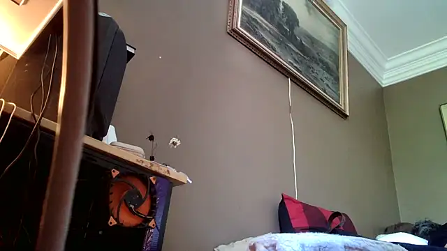 SilverandFox webcam