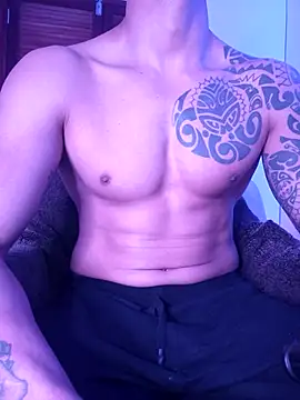 Joylopez_fit webcam
