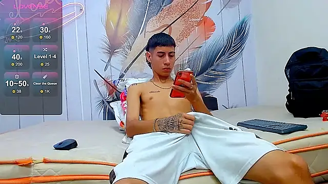 LittleFiree webcam