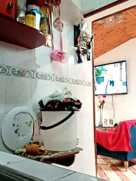 Rush_rosee_150 webcam