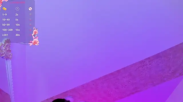 PandoraRider webcam