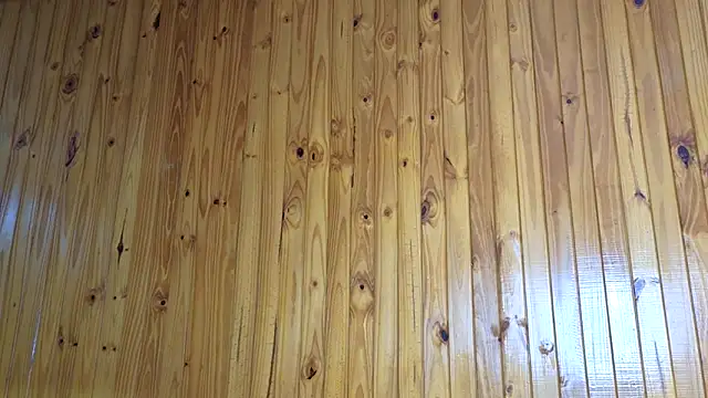 Jony_Marta webcam
