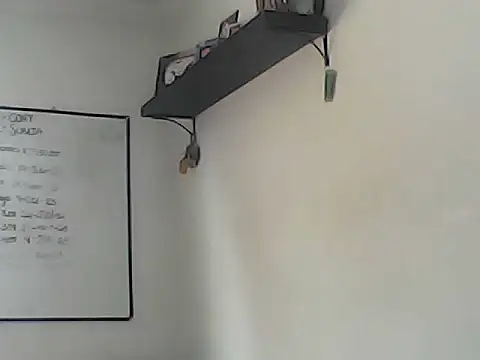 Rolo-Sumiso webcam