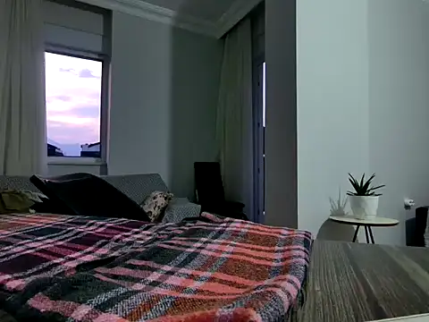 ALPHANDRE webcam