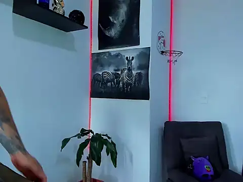 Alexander_Martines webcam