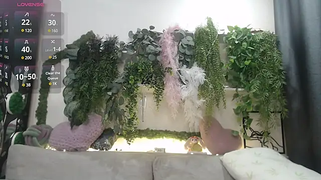 scyrim2 webcam