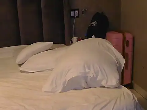 Ivysol webcam