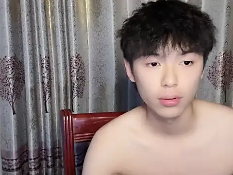 w5206t webcam