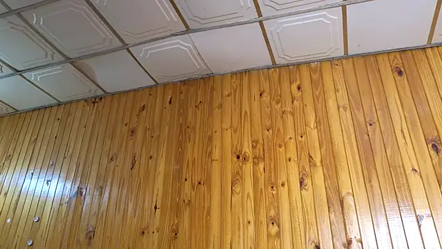 Jony_Marta webcam