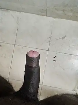 Tamilcollegeboyvirgin webcam