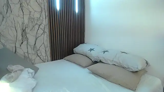 MistySaint webcam