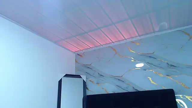 dholcee webcam