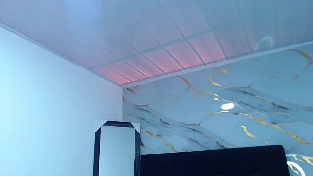 dholcee webcam