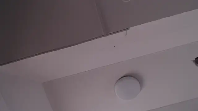DannaDooll99 webcam