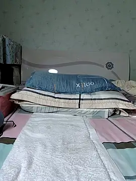 CCAV200 webcam