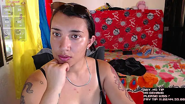 Robin_H00t webcam
