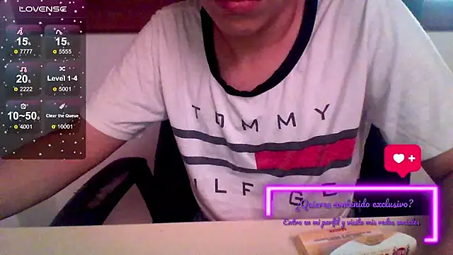 aprendizdsumisa webcam