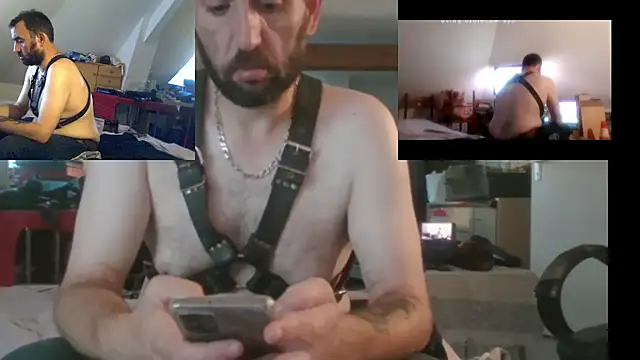 Mastersanges webcam