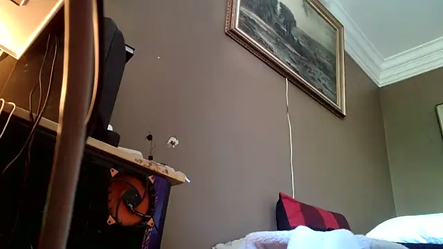 SilverandFox webcam