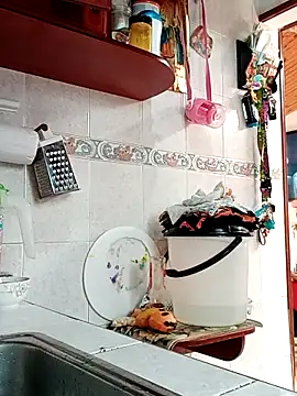 Rush_rosee_150 webcam