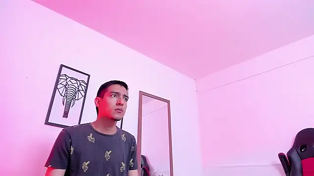NicolasFine webcam
