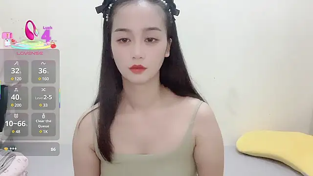 howhou webcam
