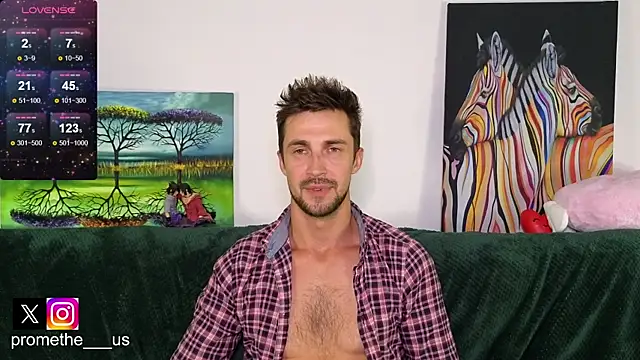 Promethe_us webcam