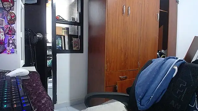 esjrobles webcam