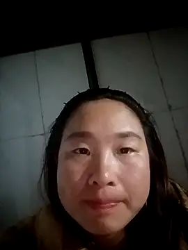maihobe webcam