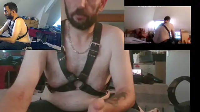 Mastersanges webcam