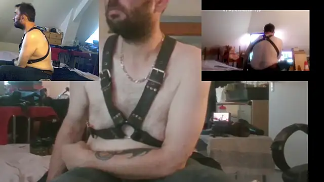 Mastersanges webcam