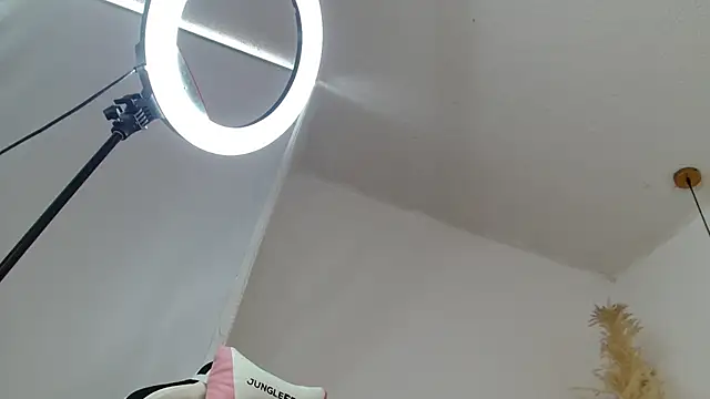 klauss_becker webcam