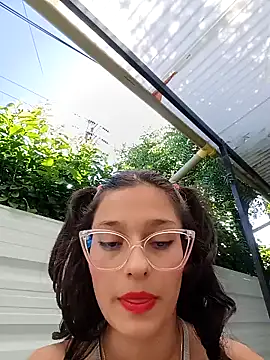 Ary-18 webcam