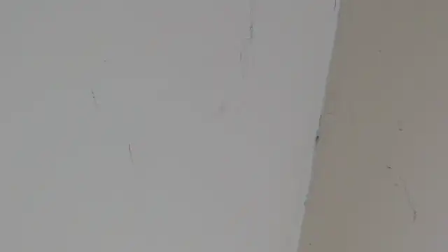 Pervert_HardSex webcam