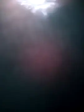 paugrande453 webcam