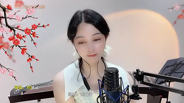 Tian-xin-999 webcam