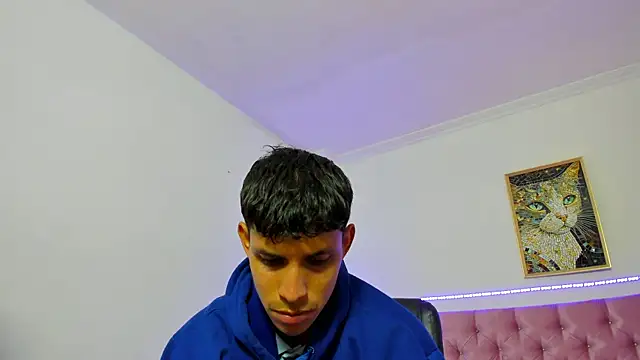 abbel_20cm webcam