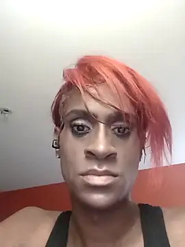 BashaDPT