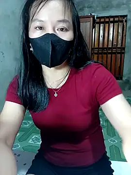 Nguyenlan webcam