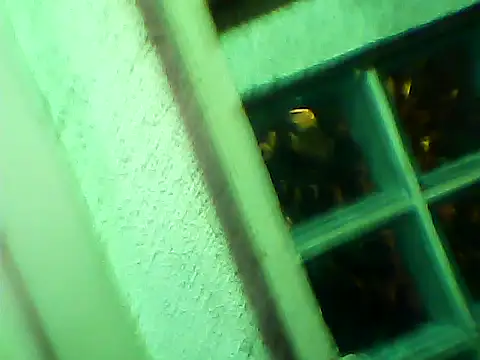 maskhotcouple webcam