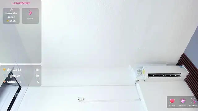 Chiqui_milk_ webcam
