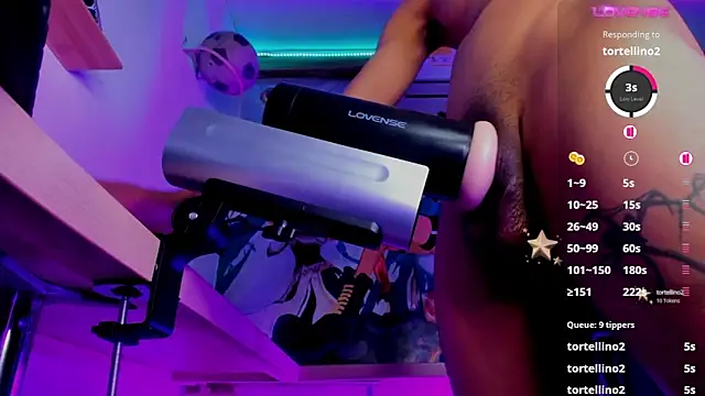 Lion_Dynamite webcam