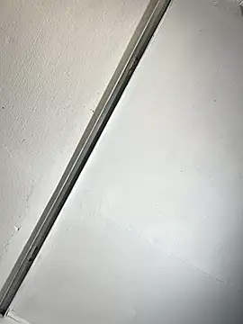 SusieandLacey webcam
