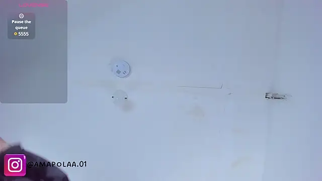 _Dama_amapola webcam