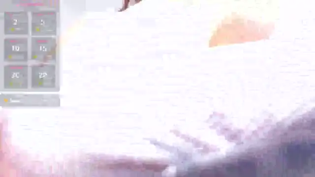online chat room Kitten Cam