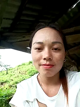 bamhb webcam