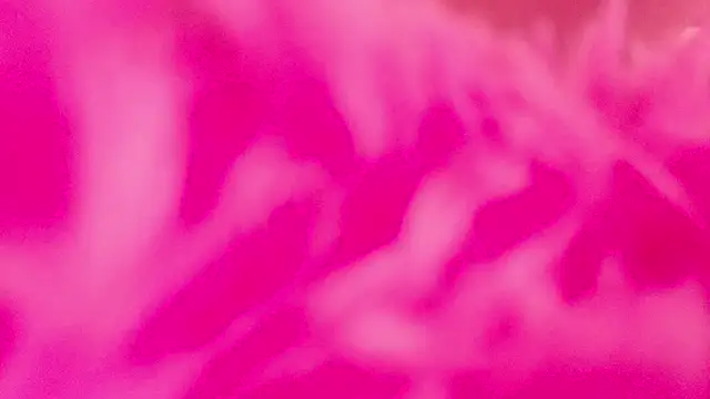 Eli_Vibe